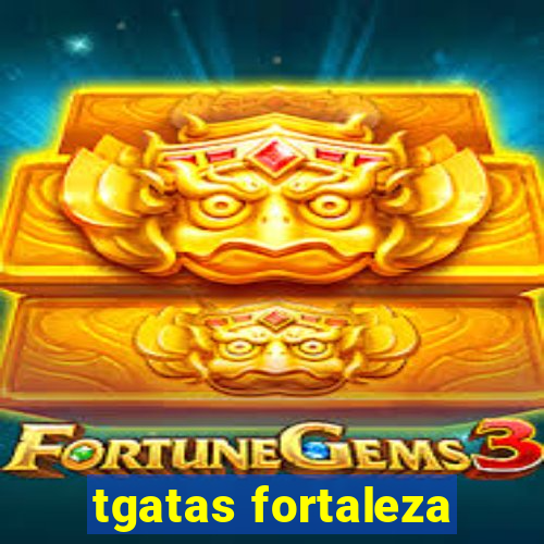 tgatas fortaleza